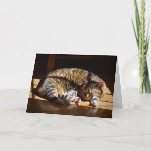 Dias Lentos, cartão