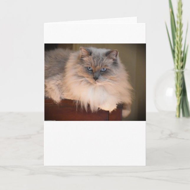 Dias Lentos, cartão (Frente)