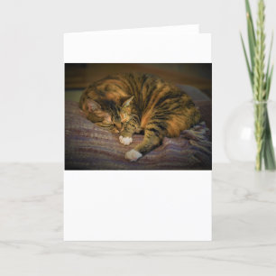 Dias Lentos, cartão