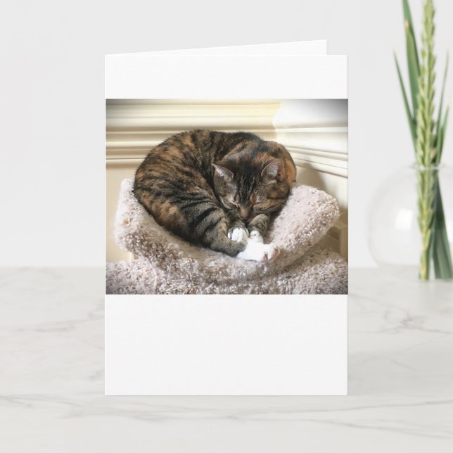 Dias Lentos, cartão (Frente)