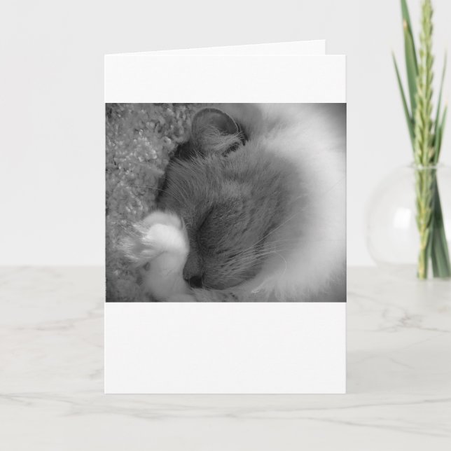 Dias Lentos, cartão (Frente)