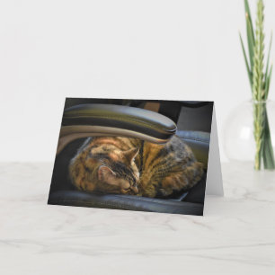 Dias Lentos, cartão