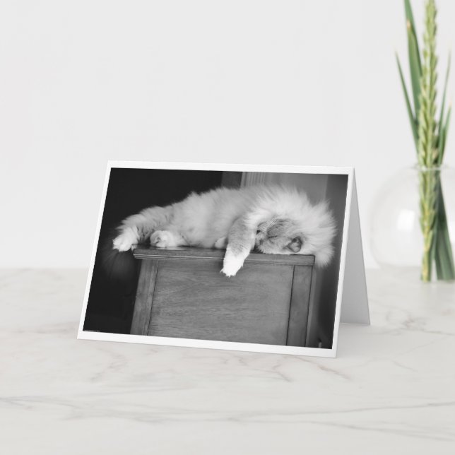 Dias Lentos, cartão (Frente)