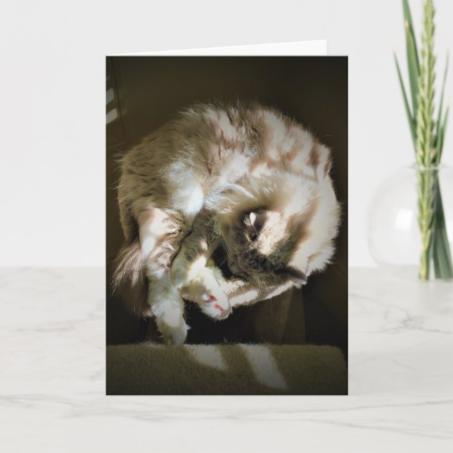 Dias Lentos, cartão (Frente)