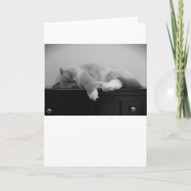 Dias Lentos, cartão (Frente)