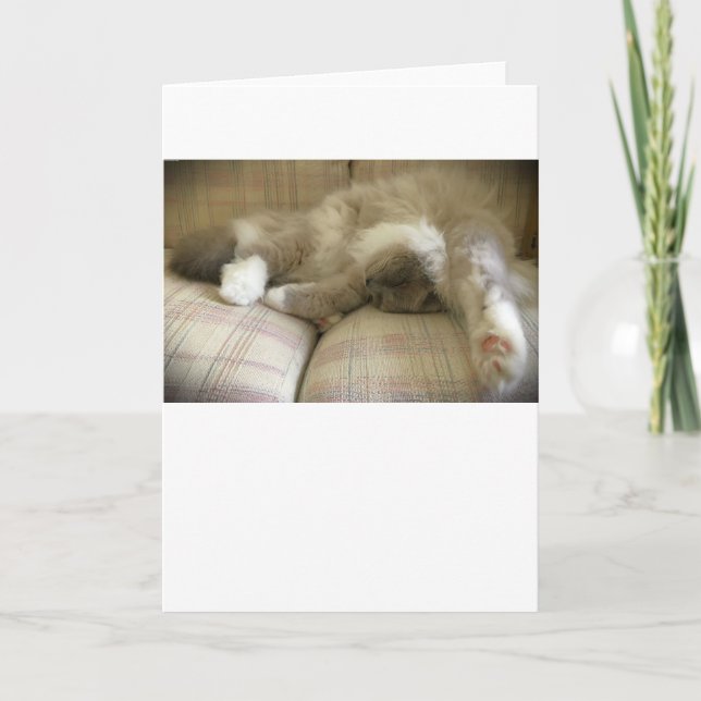 Dias Lentos, cartão (Frente)