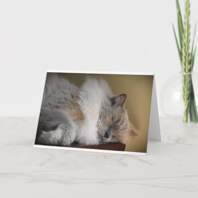 Dias Lentos, cartão (Frente)