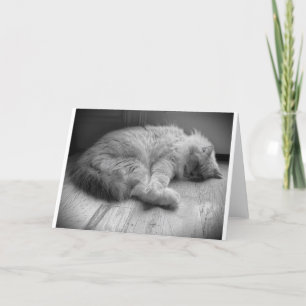 Dias Lentos, cartão