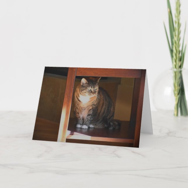 Dias Lentos, cartão (Frente)