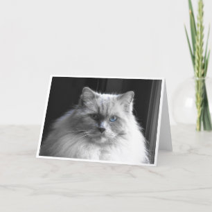 Dias Lentos, cartão