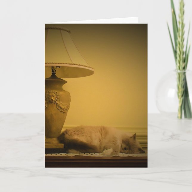 Dias Lentos, cartão (Frente)