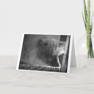 Dias Lentos, cartão