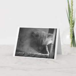 Dias Lentos, cartão