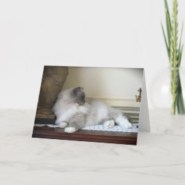 Dias Lentos, cartão