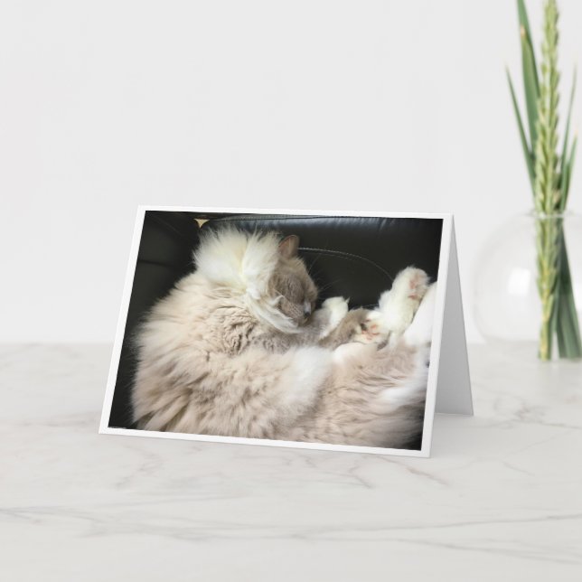 Dias Lentos, cartão (Frente)