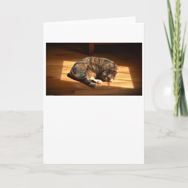 Dias Lentos, cartão (Frente)