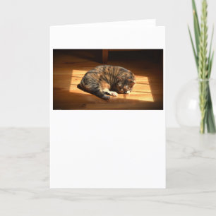 Dias Lentos, cartão