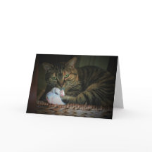 Dias Lentos, cartão