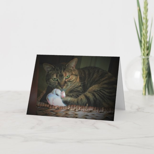 Dias Lentos, cartão (Frente)