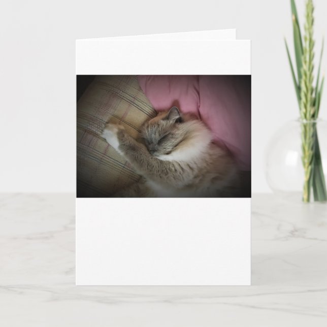 Dias Lentos, cartão (Frente)