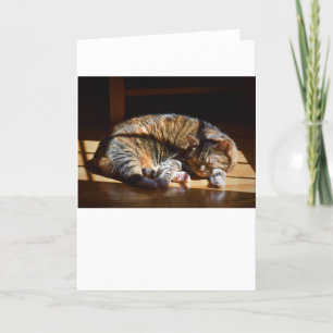 Dias Lentos, cartão