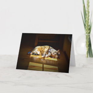 Dias Lentos, cartão