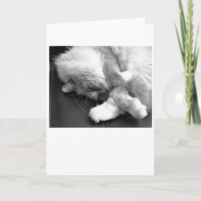 Dias Lentos, cartão (Frente)