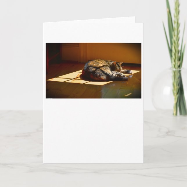 Dias Lentos, cartão (Frente)