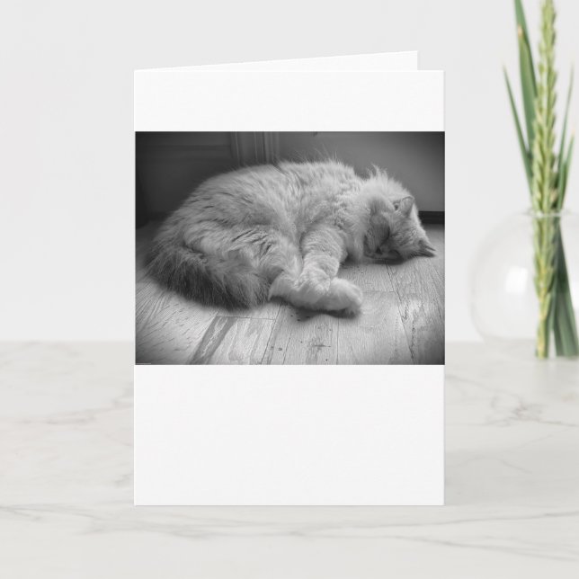 Dias Lentos, cartão (Frente)