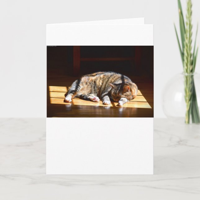 Dias Lentos, cartão (Frente)