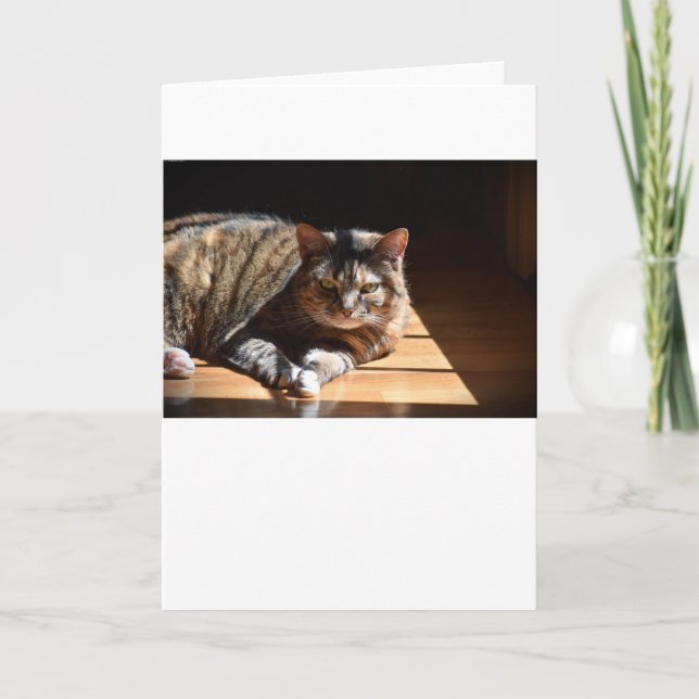 Dias Lentos, cartão (Frente)