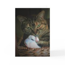 Dias Lentos, cartão