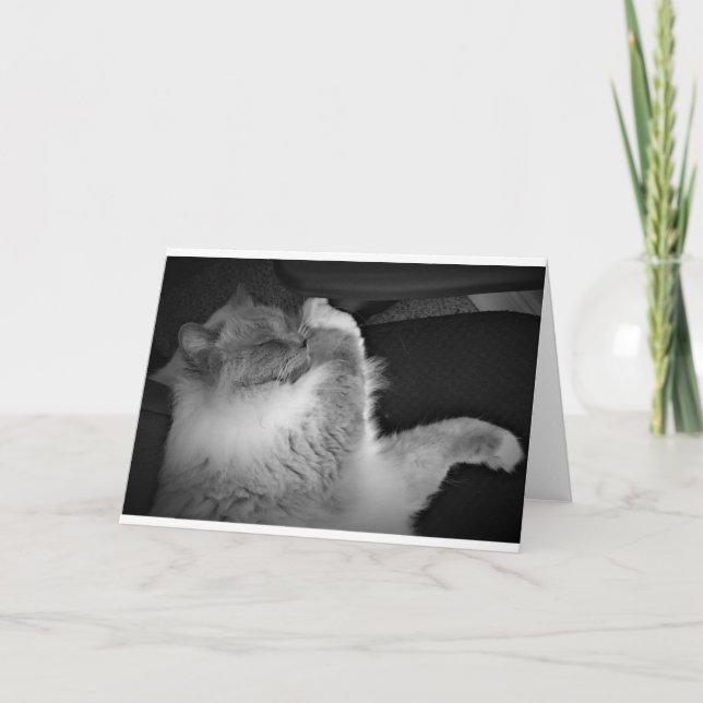 Dias Lentos, cartão (Frente)