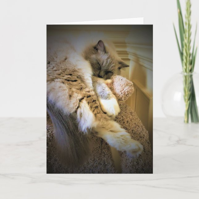 Dias Lentos, cartão (Frente)