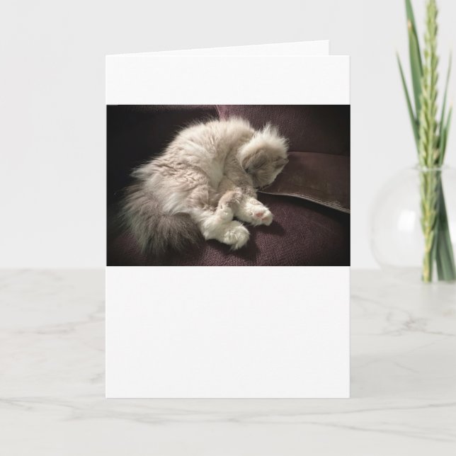 Dias Lentos, cartão (Frente)