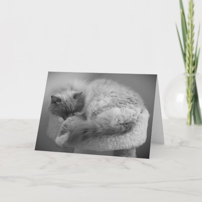 Dias Lentos, cartão (Frente)