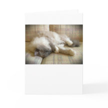 Dias Lentos, cartão