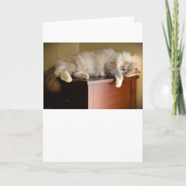 Dias Lentos, cartão