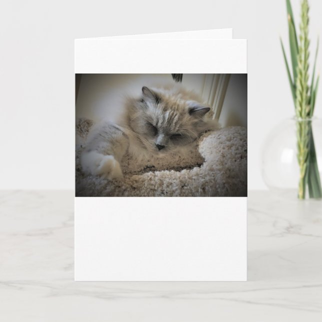 Dias Lentos, cartão (Frente)