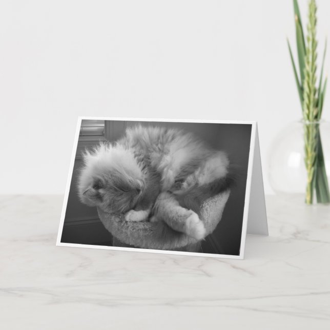 Dias Lentos, cartão (Frente)