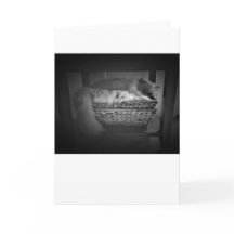 Dias Lentos, cartão