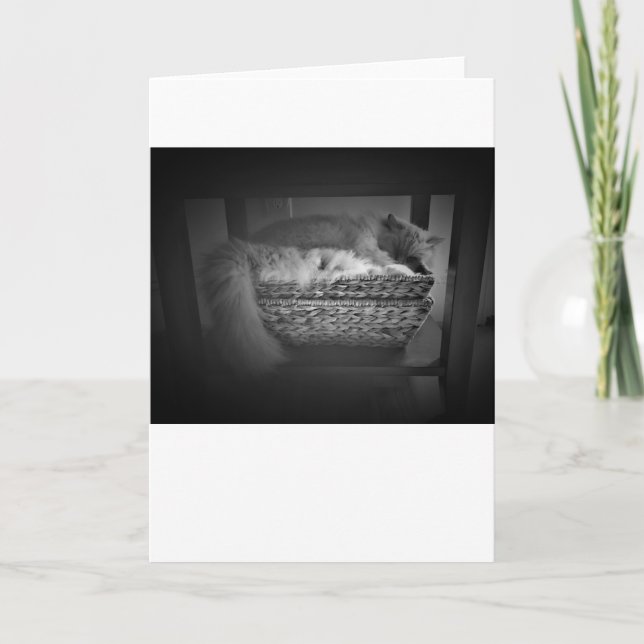 Dias Lentos, cartão (Frente)