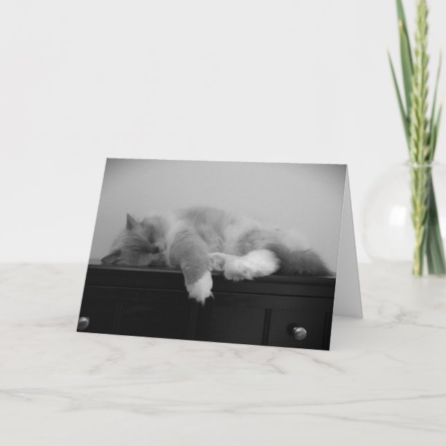 Dias Lentos, cartão (Frente)