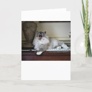 Dias Lentos, cartão