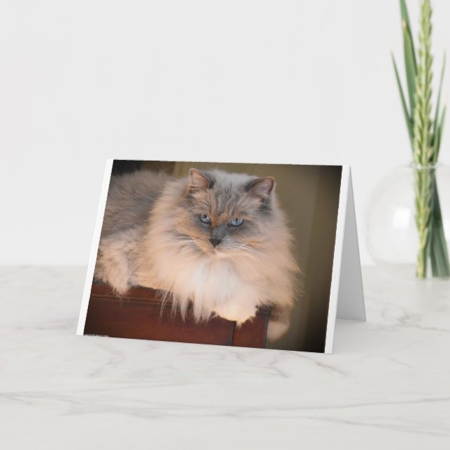 Dias Lentos, cartão (Frente)