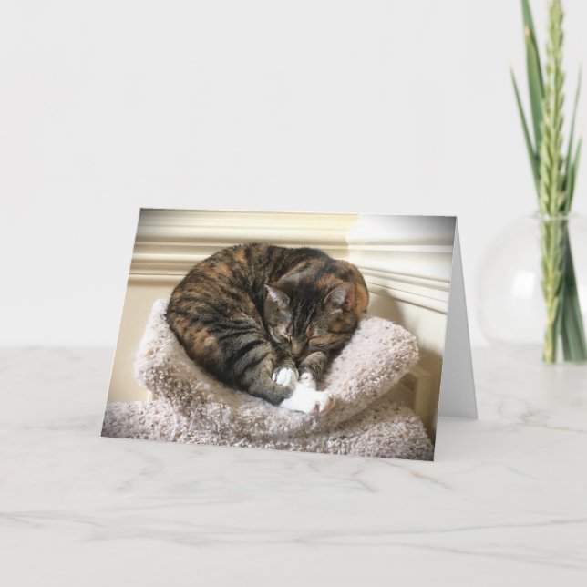 Dias Lentos, cartão (Frente)