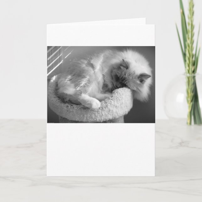 Dias Lentos, cartão (Frente)