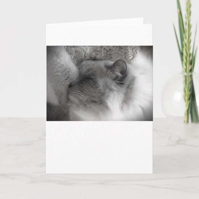 Dias Lentos, cartão (Frente)