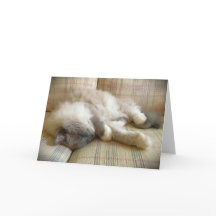 Dias Lentos, cartão