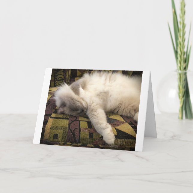 Dias Lentos, cartão (Frente)